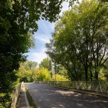 Odsłonięcie tablicy na Kępie Bazarowej