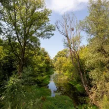 Odsłonięcie tablicy na Kępie Bazarowej