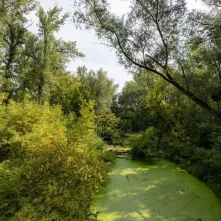 Odsłonięcie tablicy na Kępie Bazarowej