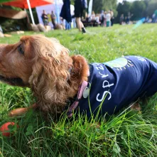 Sprzątanie świata nad Martówką, 19.09.2025 r.