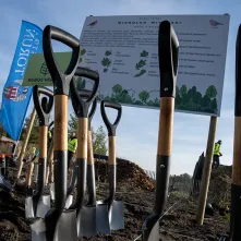 Zasadziliśmy mikrolas na lewobrzeżu