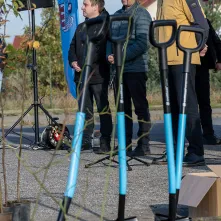 Zasadziliśmy mikrolas na lewobrzeżu