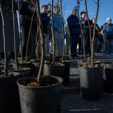 Zasadziliśmy mikrolas na lewobrzeżu