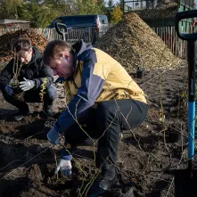 Zasadziliśmy mikrolas na lewobrzeżu