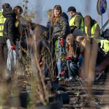 Zasadziliśmy mikrolas na lewobrzeżu