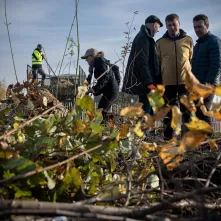 Zasadziliśmy mikrolas na lewobrzeżu