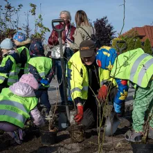 Zasadziliśmy mikrolas na lewobrzeżu