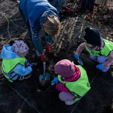 Zasadziliśmy mikrolas na lewobrzeżu