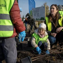 Zasadziliśmy mikrolas na lewobrzeżu