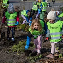 Zasadziliśmy mikrolas na lewobrzeżu