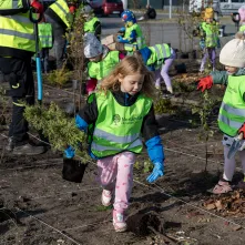 Zasadziliśmy mikrolas na lewobrzeżu