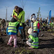 Zasadziliśmy mikrolas na lewobrzeżu