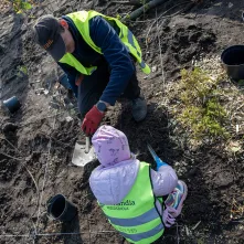 Zasadziliśmy mikrolas na lewobrzeżu