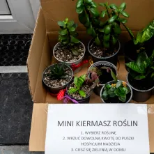 Świąteczna Bitwa Gwiazd po raz kolejny w Toruniu