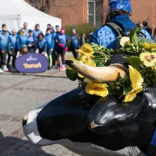 Bieg śniadaniowy z Adamem Kszczotem