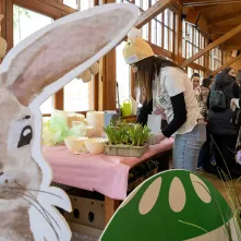 Leśne poszukiwanie pisanek na Barbarce