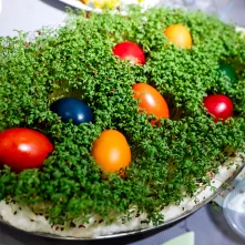 Śniadanie wielkanocne w DPS im. dr Leona Szumana 2026