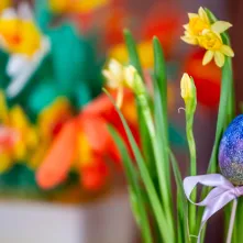 Śniadanie wielkanocne w DPS im. dr Leona Szumana 2026