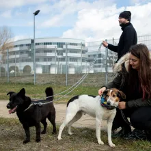Święconka w kasku – wielkanocna tradycja na dwóch kołach