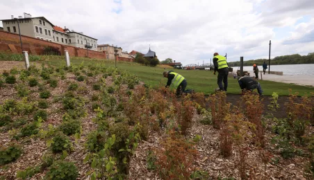 Zielony Bulwar Filadelfijski, 19.04.2024 r.