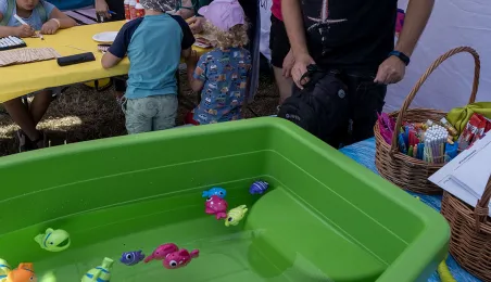 Święto Wisły w Toruniu