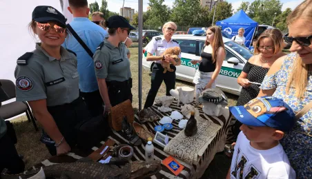 Rodzinny piknik militarny