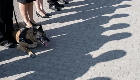 Straż Miejska obchodzi swoje święto