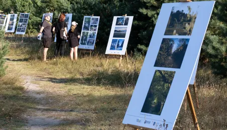 Babie Lato na Wrzosowisku