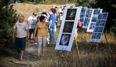 Babie Lato na Wrzosowisku