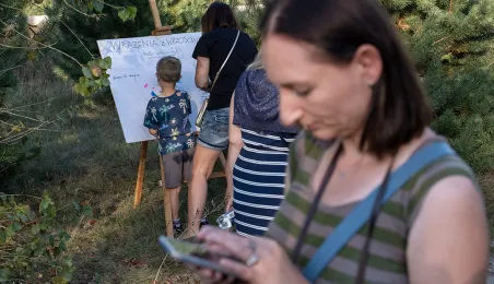 Babie Lato na Wrzosowisku