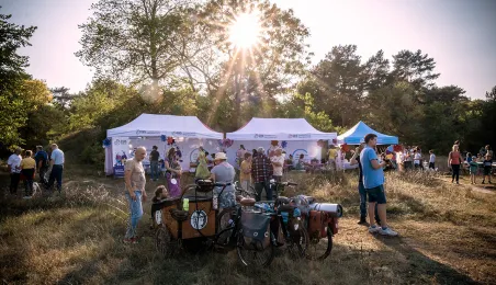 Babie Lato na Wrzosowisku