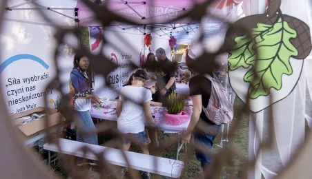 Babie Lato na Wrzosowisku