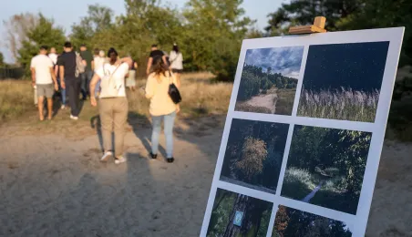 Babie Lato na Wrzosowisku