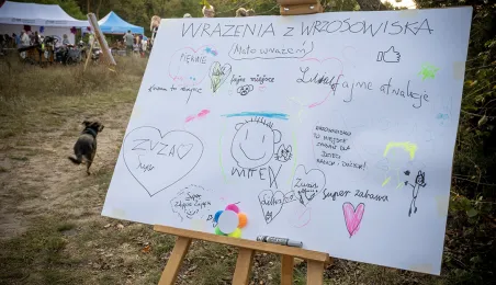 Babie Lato na Wrzosowisku