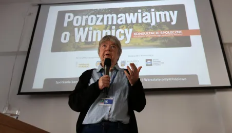 Konsultacje ws. zachodniej Winnicy, 12.10.2024 r.