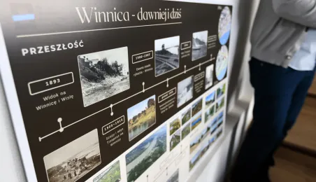 Konsultacje ws. zachodniej Winnicy, 12.10.2024 r.