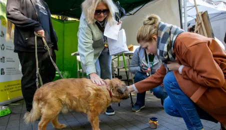 VIII Toruńska Senioriada, 12.10.2024 r.