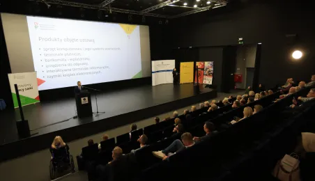  „Osoba z niepełnosprawnością w zatrudnieniu”