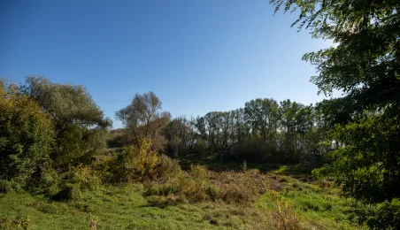 Spacer badawczy na Winnicy