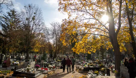 Kwesta na cmentarzu św. Jerzego 2024