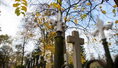 Cmentarz św. Jerzego 2024