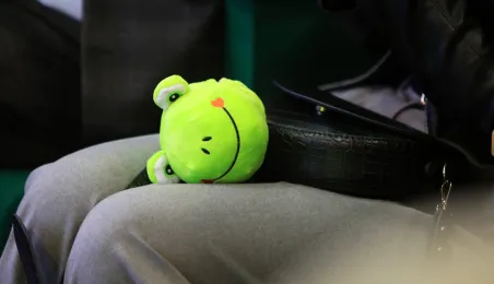 Miasto Przyjazne Dzieciom, 15.11.2024 r.