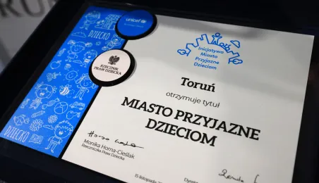 Miasto Przyjazne Dzieciom, 15.11.2024 r.