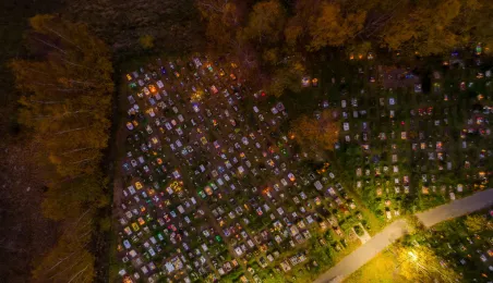 Tęczowy Las - cmentarz dla zwierząt