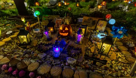 Tęczowy Las - cmentarz dla zwierząt