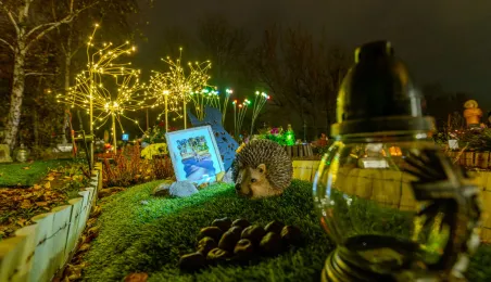 Tęczowy Las - cmentarz dla zwierząt