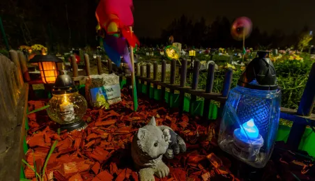 Tęczowy Las - cmentarz dla zwierząt