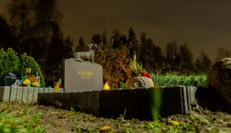 Tęczowy Las - cmentarz dla zwierząt