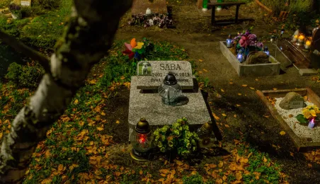 Tęczowy Las - cmentarz dla zwierząt