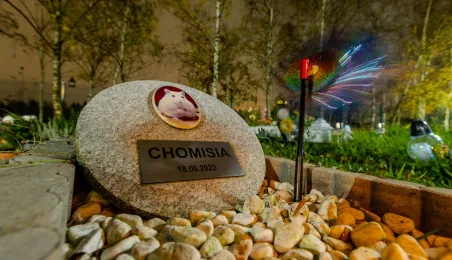 Tęczowy Las - cmentarz dla zwierząt